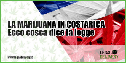 consegna a domicilio marijuana in costarica