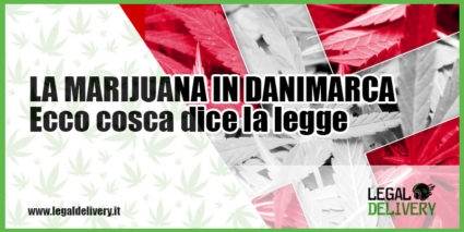 consegna a domicilio marijuana in danimarca