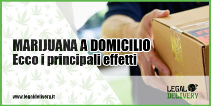 Effetti marijuana a domicilio