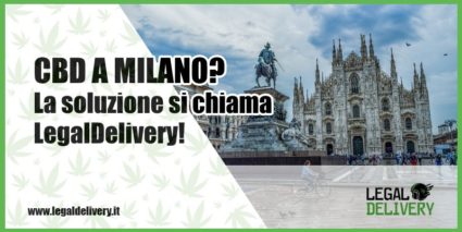 cbd milano