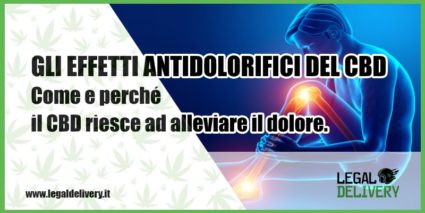 cbd effetti antidolorifici