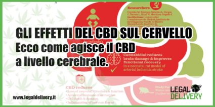 effetti cbd sul cervello