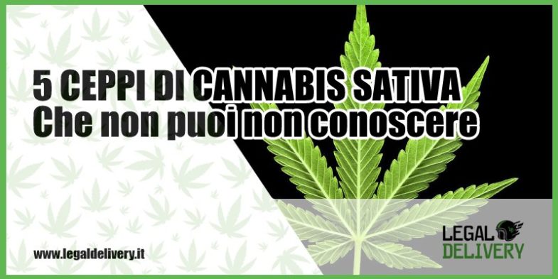 tipi di marijuana light a milano