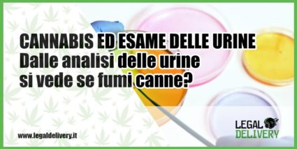 cannabis esame urine