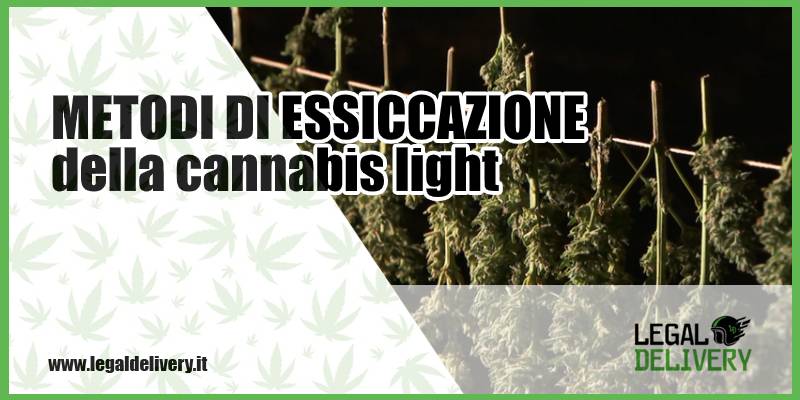 Come fare l'hashish con il ghiaccio secco - RQS Blog